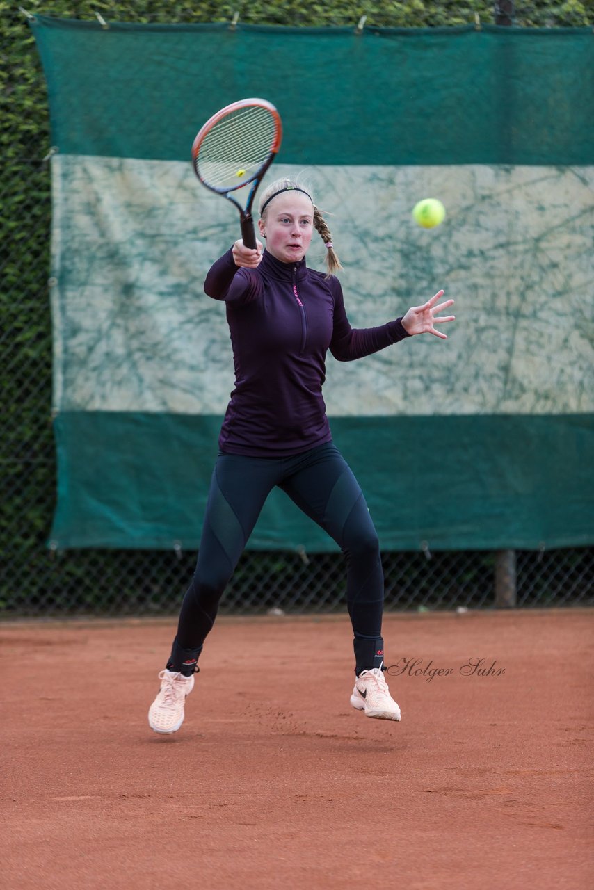 Bild 447 - NL VfL Westercelle - SVE Wiefelstede : Ergebnis: 8:1